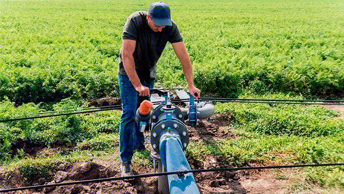 Productores agrícolas y agroindustria