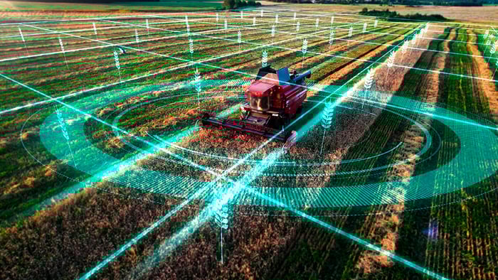 Empresas agrícolas