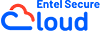Entel Secure Cloud